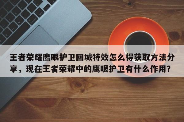王者荣耀鹰眼护卫回城特效怎么得获取方法分享，现在王者荣耀中的鹰眼护卫有什么作用？-第2张图片-梵四游戏网