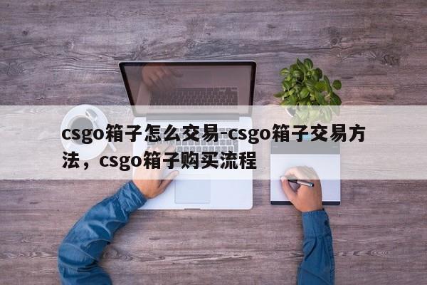 csgo箱子怎么交易-csgo箱子交易方法，csgo箱子购买流程-第3张图片-梵四游戏网