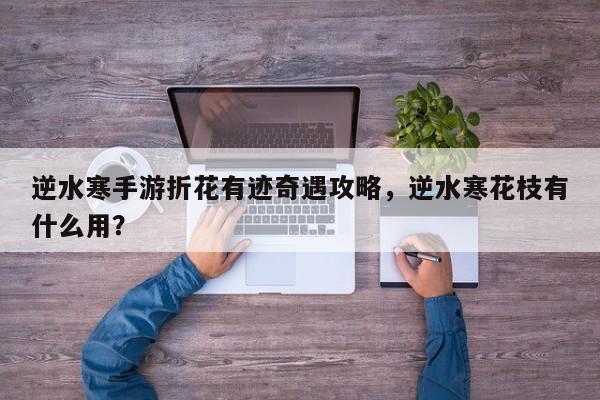 逆水寒手游折花有迹奇遇攻略，逆水寒花枝有什么用？-第2张图片-梵四游戏网