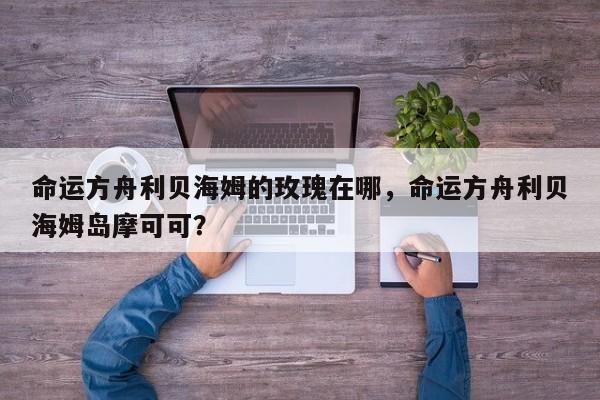 命运方舟利贝海姆的玫瑰在哪，命运方舟利贝海姆岛摩可可？-第1张图片-梵四游戏网