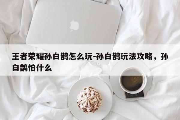 王者荣耀孙白鹊怎么玩-孙白鹊玩法攻略，孙白鹊怕什么-第3张图片-梵四游戏网