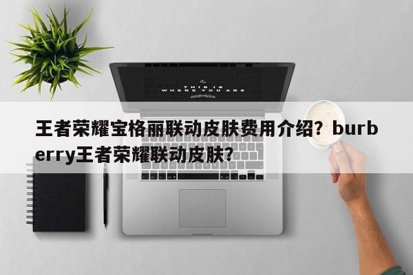 王者荣耀宝格丽联动皮肤费用介绍？burberry王者荣耀联动皮肤？-第2张图片-梵四游戏网