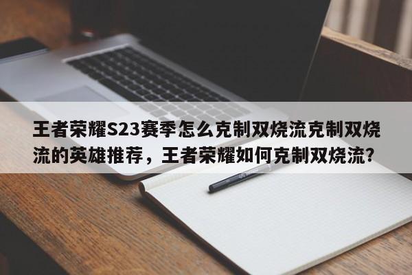 王者荣耀S23赛季怎么克制双烧流克制双烧流的英雄推荐，王者荣耀如何克制双烧流？-第2张图片-梵四游戏网