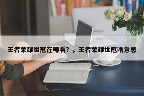 王者荣耀世冠在哪看？，王者荣耀世冠啥意思-第3张图片-梵四游戏网
