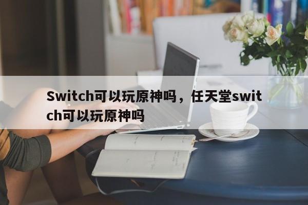 Switch可以玩原神吗，任天堂switch可以玩原神吗-第1张图片-梵四游戏网