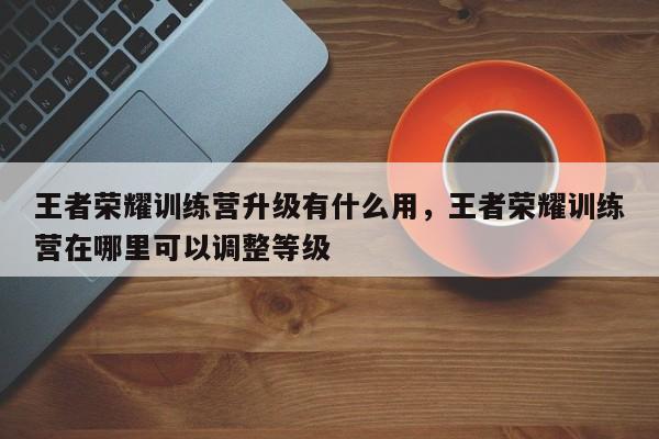 王者荣耀训练营升级有什么用，王者荣耀训练营在哪里可以调整等级-第3张图片-梵四游戏网