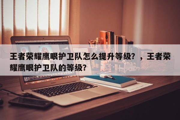 王者荣耀鹰眼护卫队怎么提升等级？，王者荣耀鹰眼护卫队的等级？-第3张图片-梵四游戏网