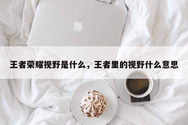 王者荣耀视野是什么，王者里的视野什么意思-第1张图片-梵四游戏网