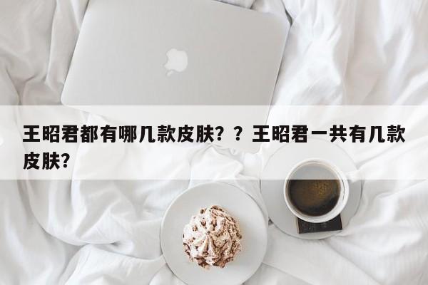 王昭君都有哪几款皮肤？？王昭君一共有几款皮肤？-第1张图片-梵四游戏网