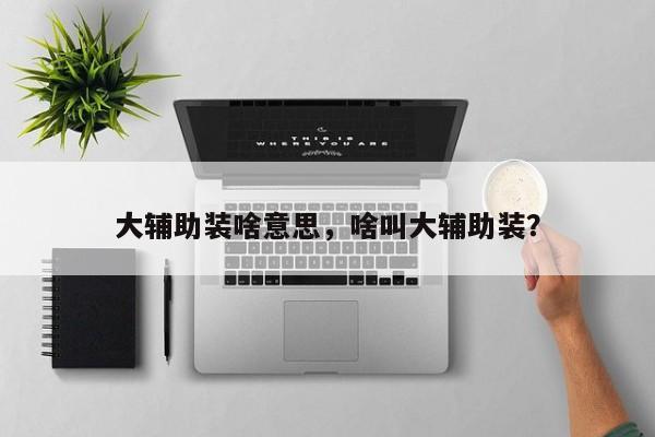 大辅助装啥意思，啥叫大辅助装？-第2张图片-梵四游戏网