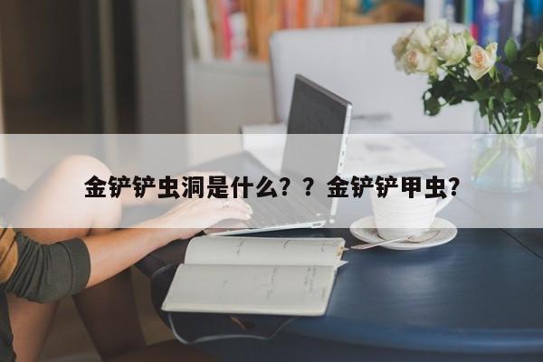 金铲铲虫洞是什么？？金铲铲甲虫？-第3张图片-梵四游戏网