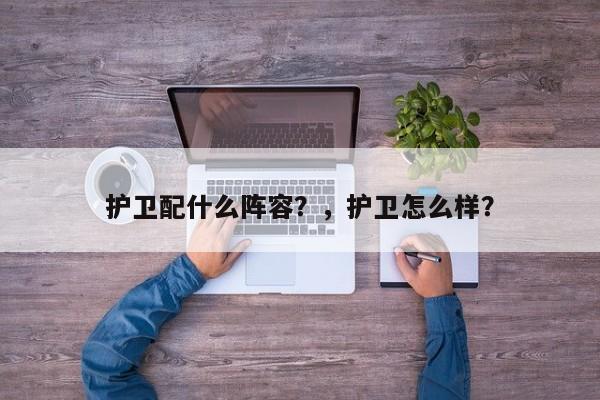 护卫配什么阵容？，护卫怎么样？-第2张图片-梵四游戏网