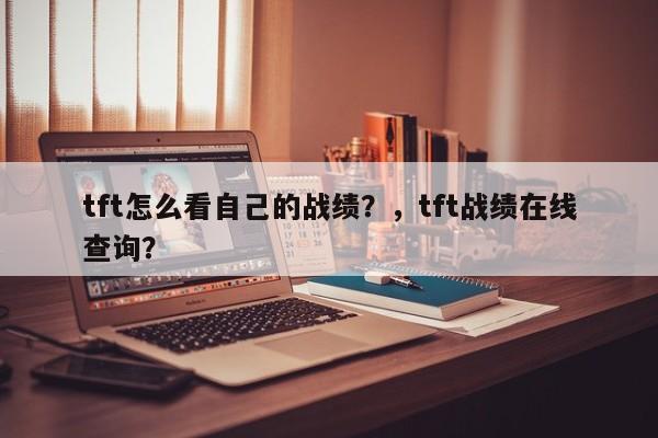 tft怎么看自己的战绩？，tft战绩在线查询？-第2张图片-梵四游戏网