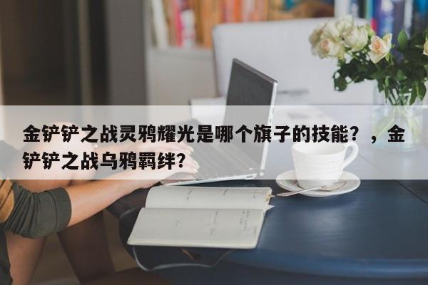 金铲铲之战灵鸦耀光是哪个旗子的技能？，金铲铲之战乌鸦羁绊？-第1张图片-梵四游戏网