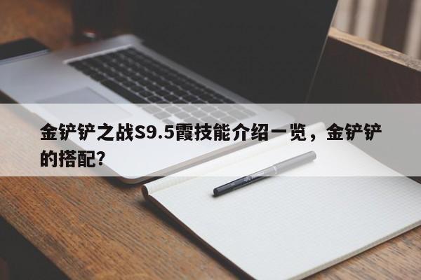 金铲铲之战S9.5霞技能介绍一览，金铲铲的搭配？-第1张图片-梵四游戏网