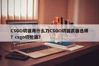 CSGO切狙用什么刀CSGO切狙武器选择？csgo切枪狙？
