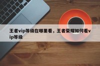 王者vip等级在哪里看，王者荣耀如何看vip等级