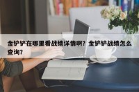 金铲铲在哪里看战绩详情啊？金铲铲战绩怎么查询？