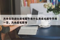 方舟生存进化皮毛犀牛有什么用皮毛犀牛作用一览，方舟皮毛犀角