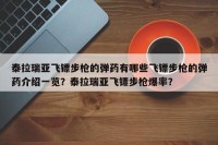 泰拉瑞亚飞镖步枪的弹药有哪些飞镖步枪的弹药介绍一览？泰拉瑞亚飞镖步枪爆率？
