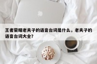 王者荣耀老夫子的语音台词是什么，老夫子的语音台词大全？
