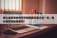 泰拉瑞亚翅膀如何获取翅膀获取方法一览，泰拉瑞亚翅膀哪里找？
