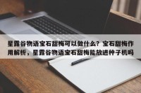 星露谷物语宝石甜梅可以做什么？宝石甜梅作用解析，星露谷物语宝石甜梅能放进种子机吗