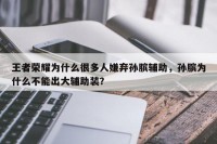 王者荣耀为什么很多人嫌弃孙膑辅助，孙膑为什么不能出大辅助装？