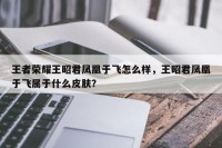 王者荣耀王昭君凤凰于飞怎么样，王昭君凤凰于飞属于什么皮肤？