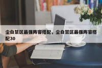尘白禁区最强阵容搭配，尘白禁区最强阵容搭配30